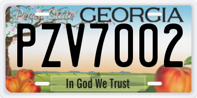 GA license plate PZV7002