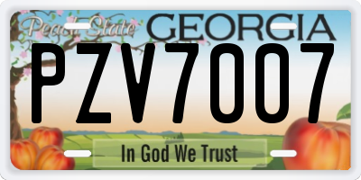 GA license plate PZV7007
