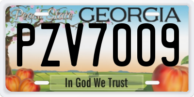 GA license plate PZV7009