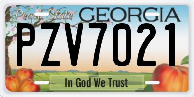 GA license plate PZV7021