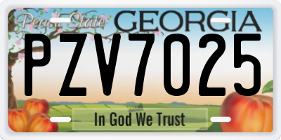 GA license plate PZV7025