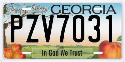 GA license plate PZV7031