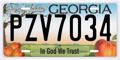 GA license plate PZV7034