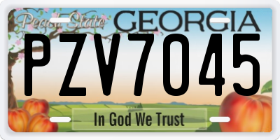 GA license plate PZV7045