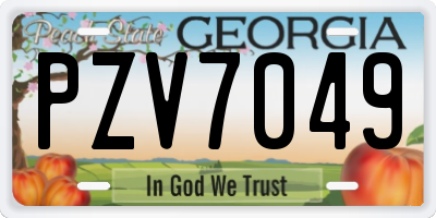 GA license plate PZV7049