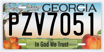 GA license plate PZV7051