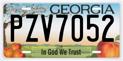 GA license plate PZV7052