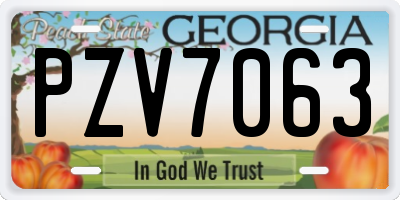 GA license plate PZV7063