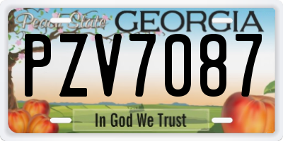 GA license plate PZV7087