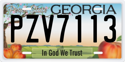 GA license plate PZV7113