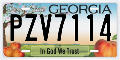 GA license plate PZV7114