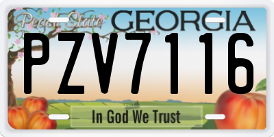 GA license plate PZV7116