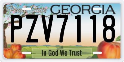 GA license plate PZV7118