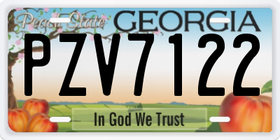 GA license plate PZV7122