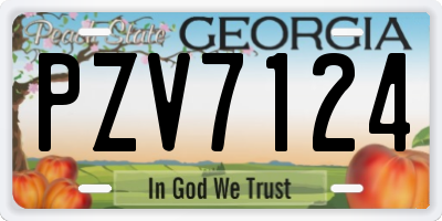 GA license plate PZV7124