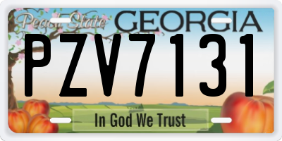 GA license plate PZV7131