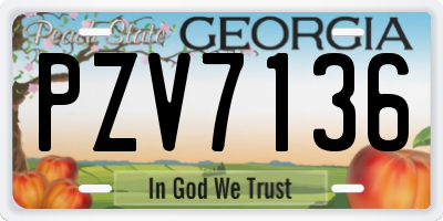 GA license plate PZV7136