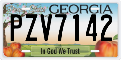 GA license plate PZV7142