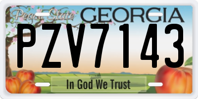 GA license plate PZV7143