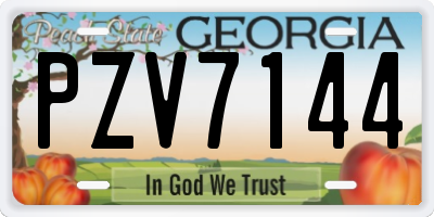 GA license plate PZV7144