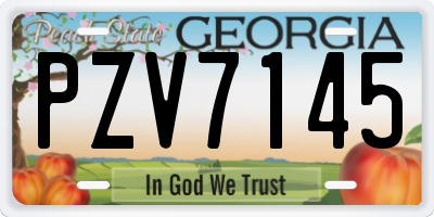 GA license plate PZV7145