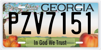GA license plate PZV7151