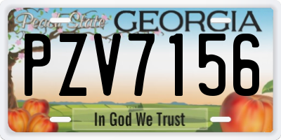 GA license plate PZV7156