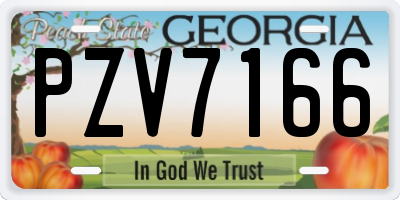 GA license plate PZV7166