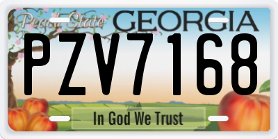 GA license plate PZV7168