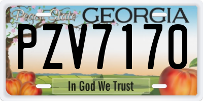 GA license plate PZV7170
