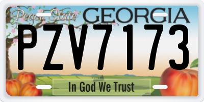 GA license plate PZV7173