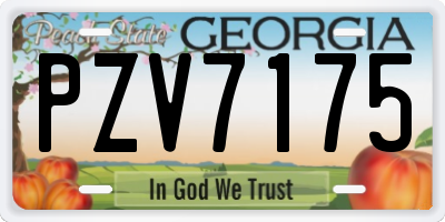 GA license plate PZV7175