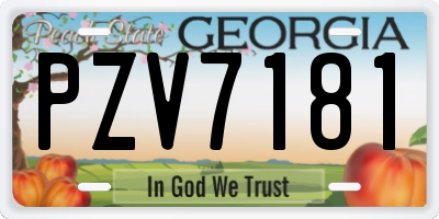 GA license plate PZV7181