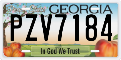 GA license plate PZV7184