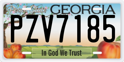GA license plate PZV7185