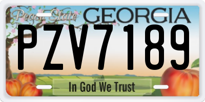 GA license plate PZV7189