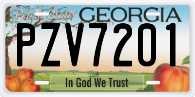 GA license plate PZV7201