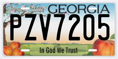 GA license plate PZV7205