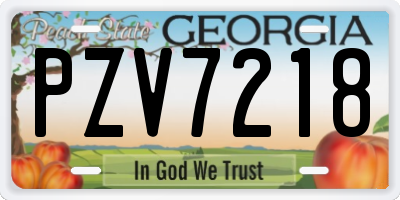 GA license plate PZV7218