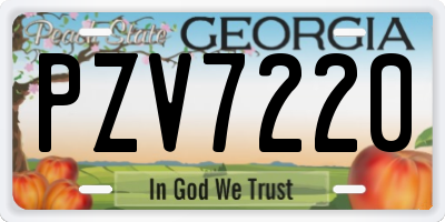 GA license plate PZV7220