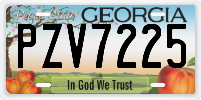 GA license plate PZV7225