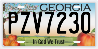 GA license plate PZV7230