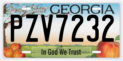 GA license plate PZV7232