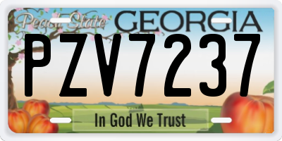 GA license plate PZV7237