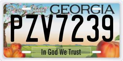 GA license plate PZV7239