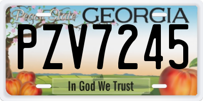 GA license plate PZV7245