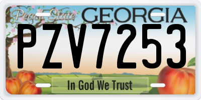 GA license plate PZV7253