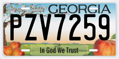 GA license plate PZV7259