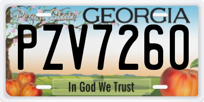 GA license plate PZV7260