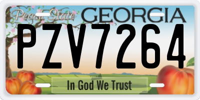 GA license plate PZV7264